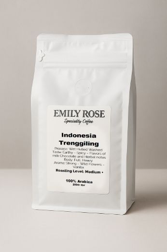 קפה קלוי טרי אינדונזיה Trenggiling ערביקה 100%