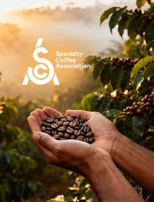 תמונה עבור הקטגוריה ספיישלטי קפה