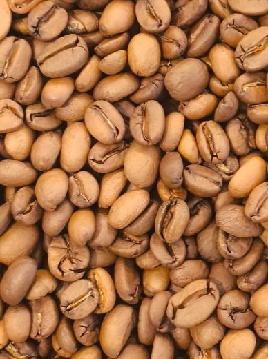 Indonesian Bali Honey Grade 1 - High quality coffee beans