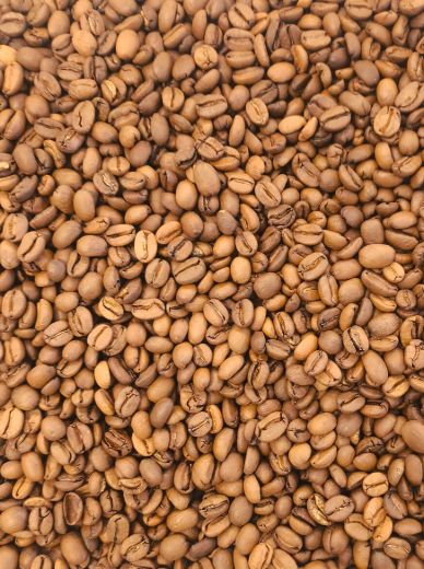 Indonesian Bali Honey Grade 1 - High quality coffee beans